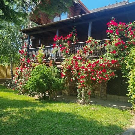 Cabana Haiducului Soveja Bagian luar foto